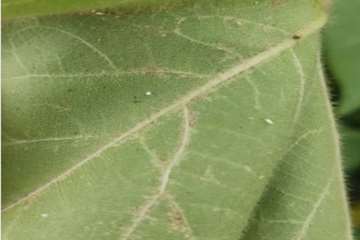IMG_20260820_172223_005