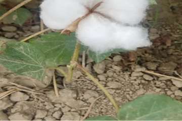 IMG_20260820_172224_742