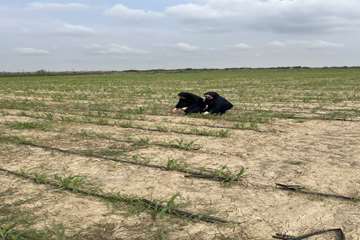 photo29194418038