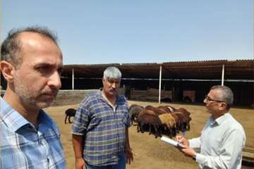 IMG_20260823_090146_888