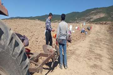 photo29129263861
