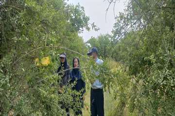 IMG_20260719_133904_443