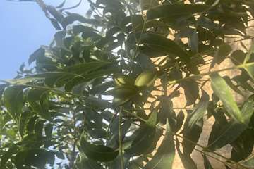 photo28298563609