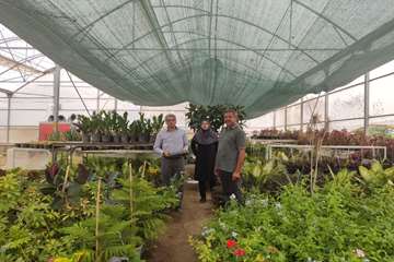 photo28620375362