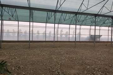 photo28620375895