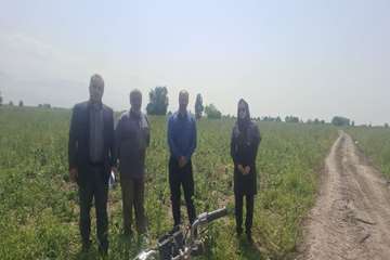 photo26450314382