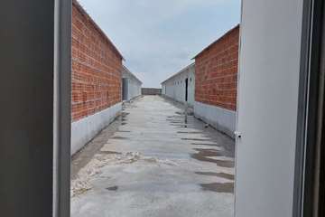 photo27889085746