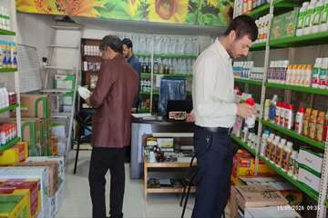 شیخ
