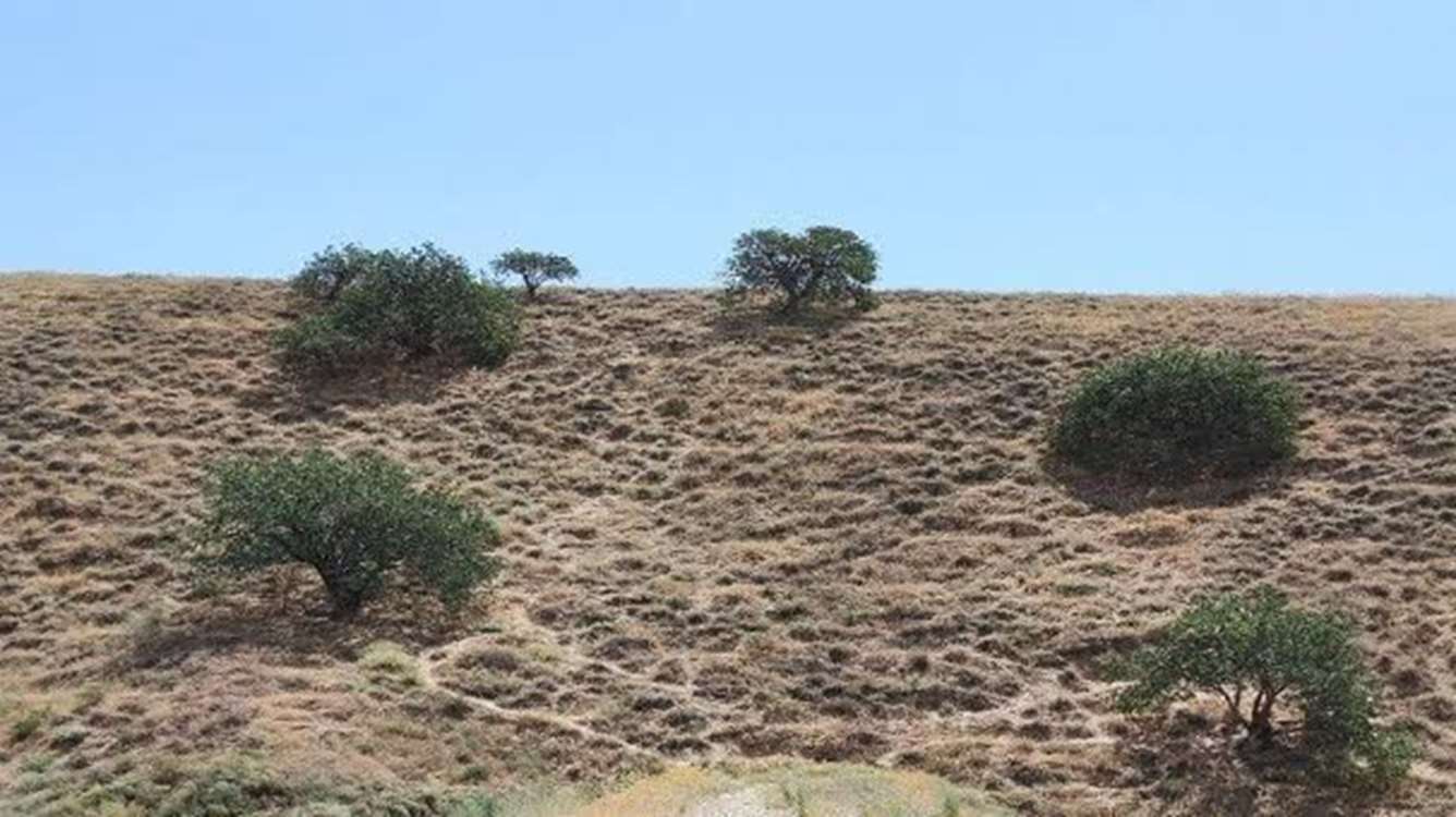 photo29008511399 