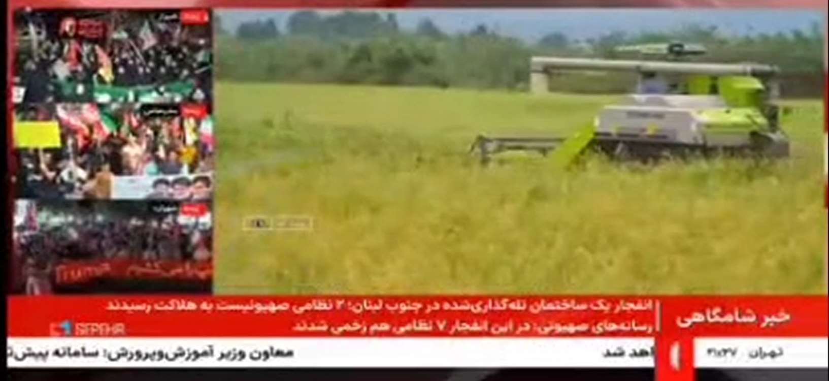شالیزار 