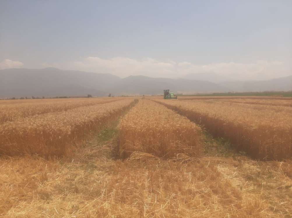 photo27545439228 