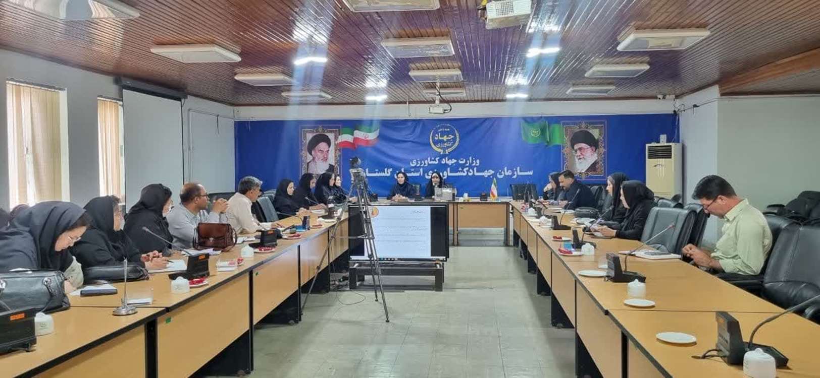مگس 