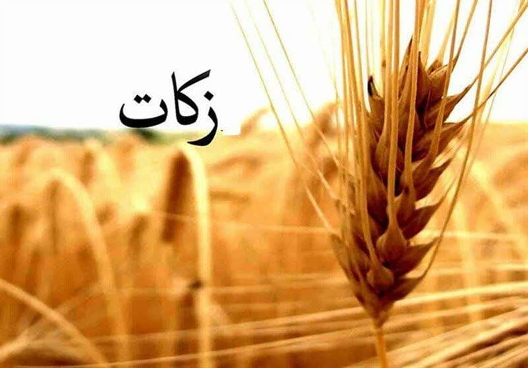 زکات 