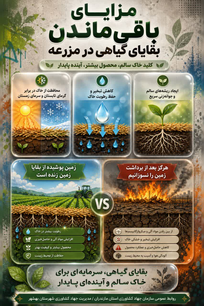 مزایای باقی ماندن بقایای گیاهی در مزرعه