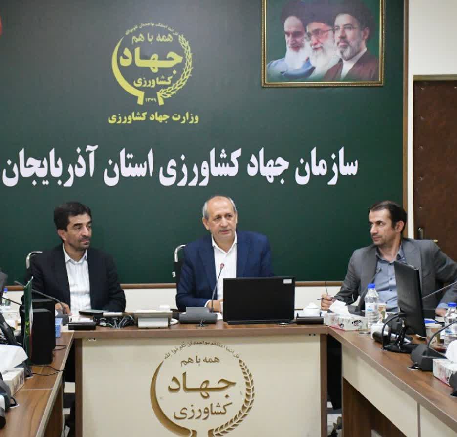 خرید 354 هزار تنی گندم در آذربایجان شرقی / ۹۳ درصد سرمایه‌گذاری بخش کشاورزی خصوصی است