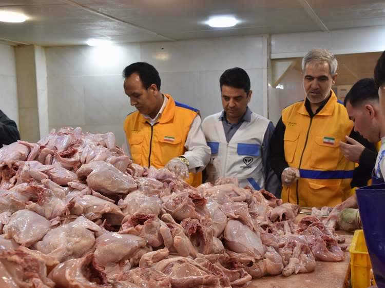 نظارت دامپزشکی خراسان رضوی بر تولید ۷۱ هزار تن گوشت قرمز و مرغ
