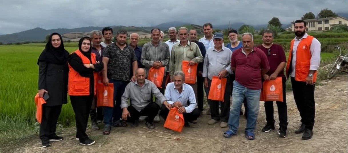 برگزاری کلاس آموزشی برنج در مزارع مرکز جهاد کشاورزی جلین شهرستان گرگان 