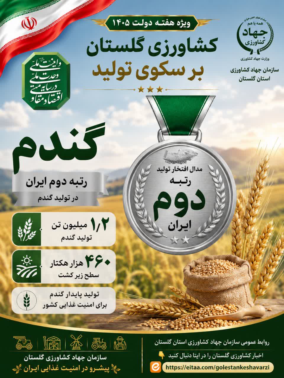 گندم رتبه دوم تولید، در ایران کشاورزی گلستان بر سکوی تولید