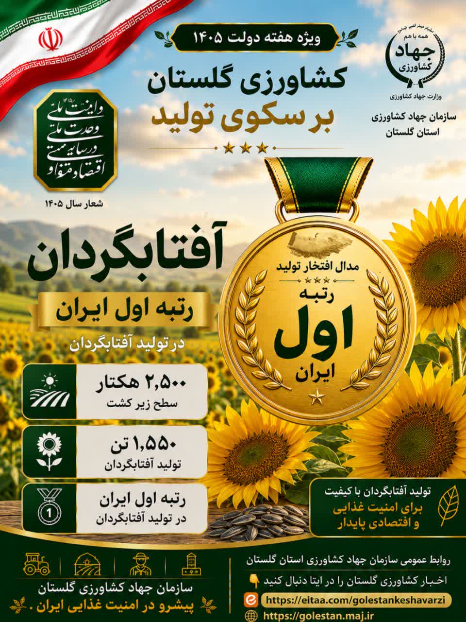 آفتابگردان رتبه اول تولید در ایران، کشاورزی گلستان بر سکوی تولید،  ویژه هفته دولت ۱۴۰۵