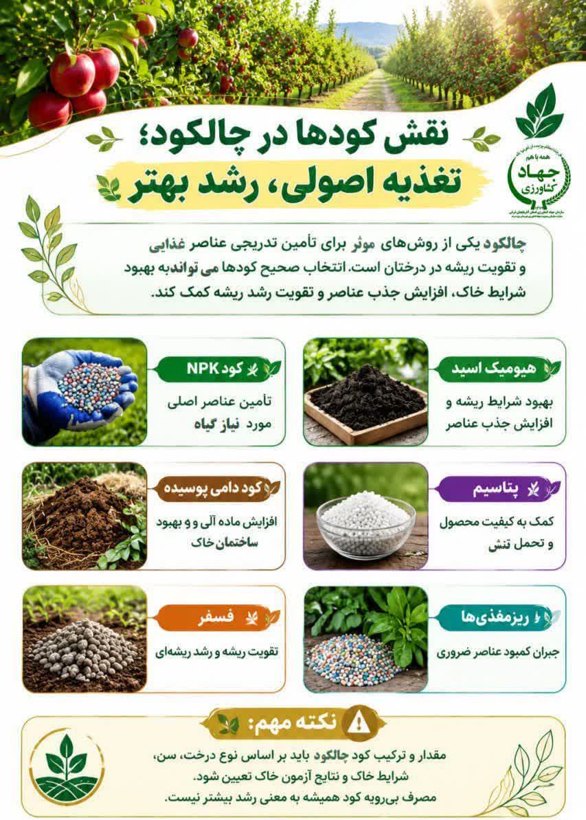 رمز و رازهای یک «چالکود» موفق برای باغداران