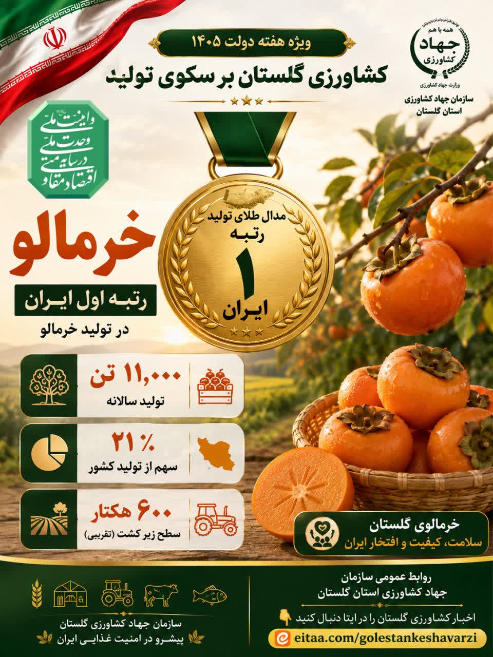 خرمالو رتبه اول تولید در ایران ،کشاورزی گلستان بر سکوی تولید،  ویژه هفته دولت ۱۴۰۵