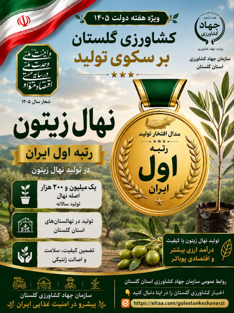 نهال زیتون رتبه اول تولید در ایران، کشاورزی گلستان بر سکوی تولید، ویژه هفته دولت ۱۴۰۵
