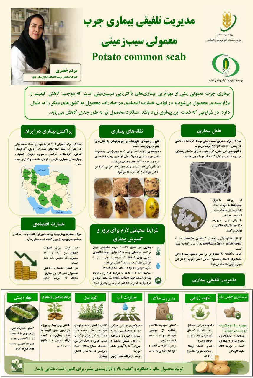مدیریت تلفیقی بیماری جرب معمولی سیب زمینی
