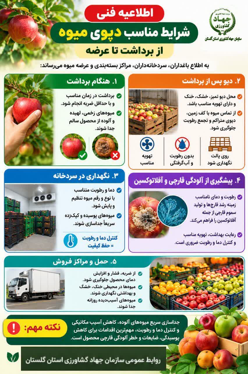 شرایط مناسب دپوی میوه