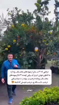 «درخت دوستی»؛ وقتی هنر کشاورزی، طعم دوستی می‌دهد 🍎🍑🌱