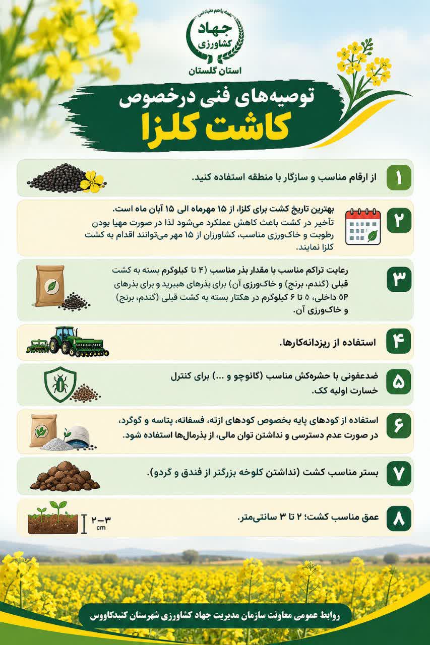 اطلاعیه ترویجی  توصیه های فنی درخصوص کشت کلزا (زمان کشت، میزان بذر، استفاده از کودهای پایه، ضدعفونی بذور و...)